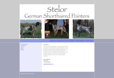 Stelor German Shorthaired Pointers